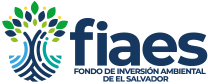 FIAES